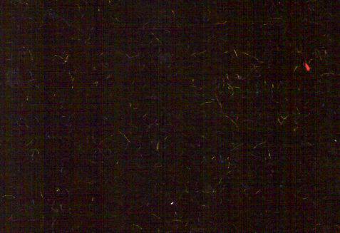 Velvet Fabric for Skirting/Chair Cover/Table Cover