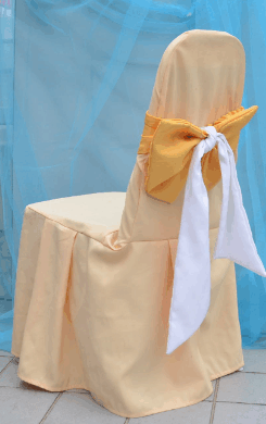 Plain Polyester Chair Cover with 2 Tone Colour Plain Polyester Ribbon Sash for Hilton Banquet Chair (Model CC-A1-SS5)