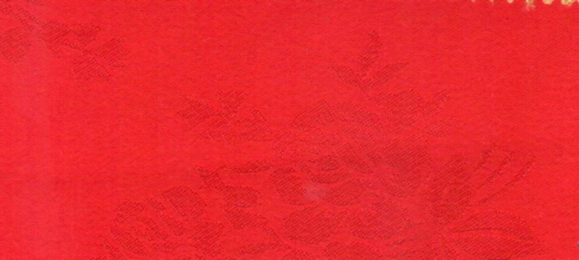 Pattern Polyester Fabric for Skirting/Chair Cover/Table Cover (Damask)