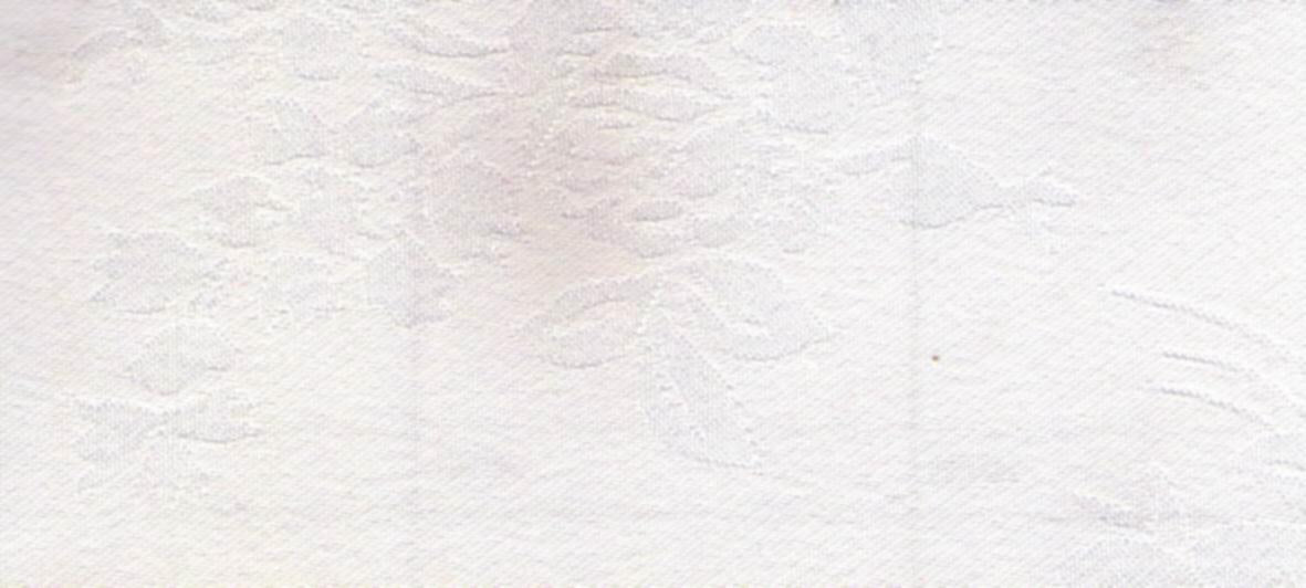 Pattern Polyester Fabric for Skirting/Chair Cover/Table Cover (Damask)