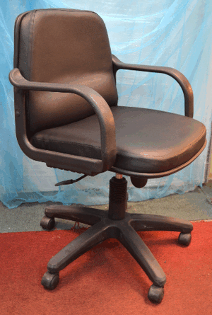 Mediumback Executive Chair (Model 3287-PT, 2877-PT)