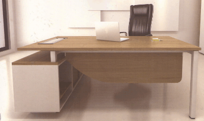 Director Table (Model TP2410)